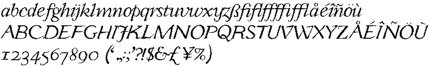 Yan Series 333 JY OSF Italic