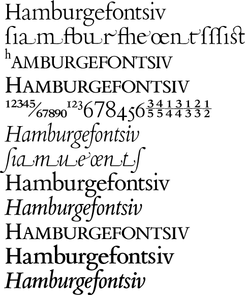 JY Ætna Hamburgefontsiv